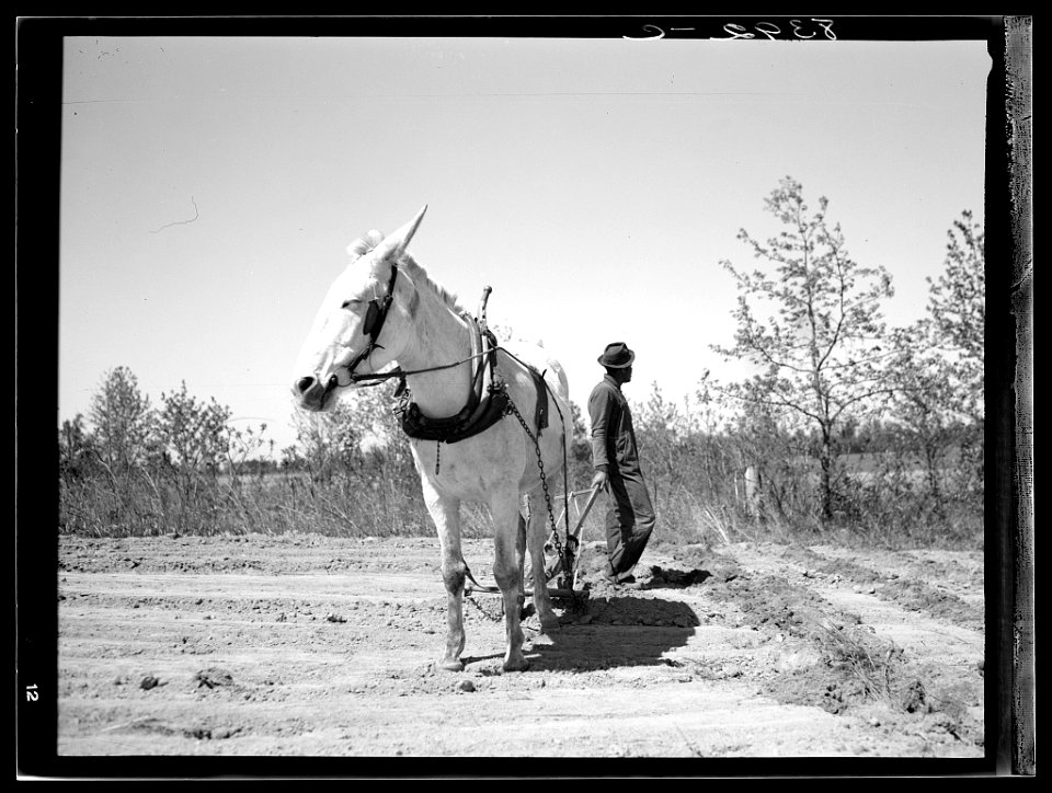 Plowing, NC