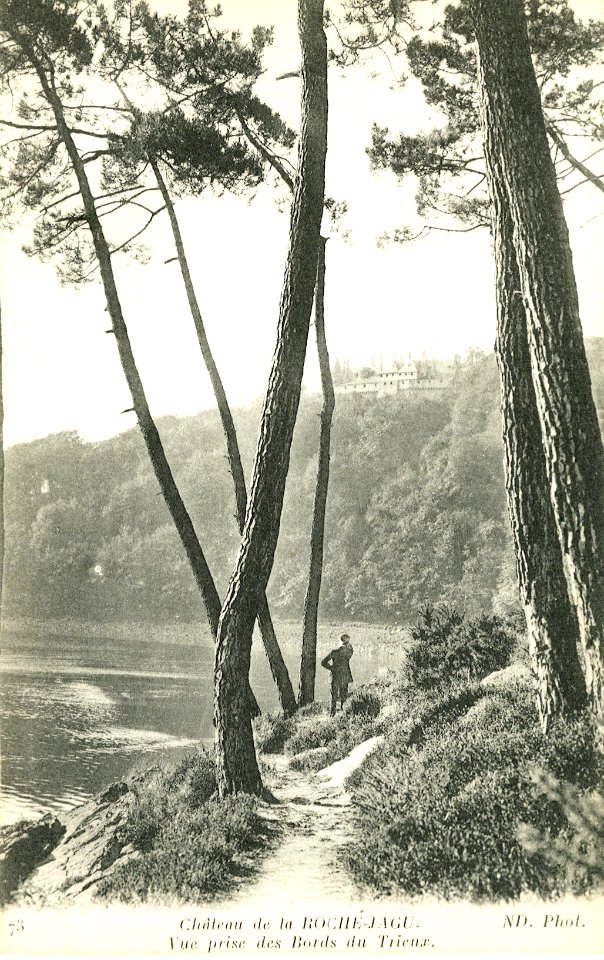 Ploézal - Château de la Roche-Jagu bords du Trieux - AD22 - 16FI4007
