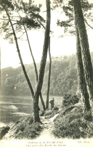 Ploézal - Château de la Roche-Jagu bords du Trieux - AD22 - 16FI4007