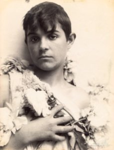 Plüschow, Wilhelm von (1852-1930) - n. 8230 - Timbro G. Pedo 130, via Sistina Roma - Janssen p. 40