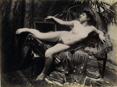 Pluschow, Wilhelm von (1852-1930) - n. 12060