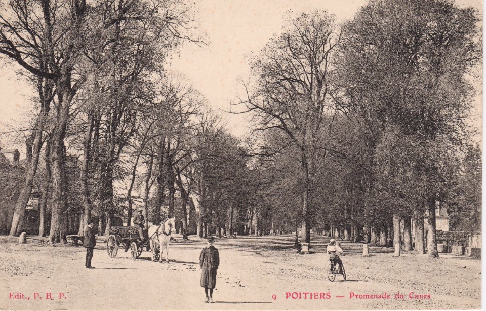 Poitiers - Promenade du Cours (PRP)