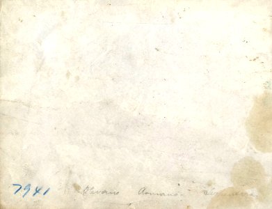 Pluschow, Wilhelm von (1852-1930) - n. 7941 verso - Olevano Romano - Serpentina