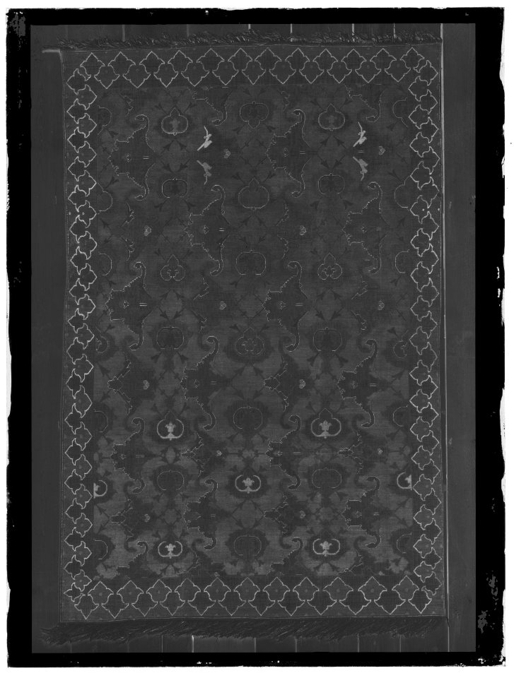 Polenmattan en av två grön - Skoklosters slott - 77305-negative