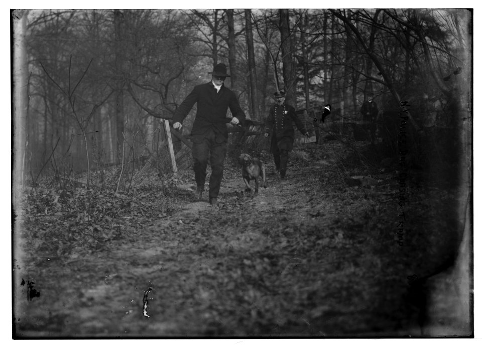 Policeman, police dog chasing tramp, New York City LCCN2014680050