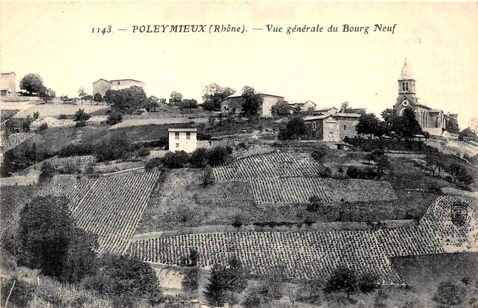 Poleymieux (Rhône) - vue générale 1