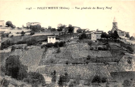 Poleymieux (Rhône) - vue générale 1