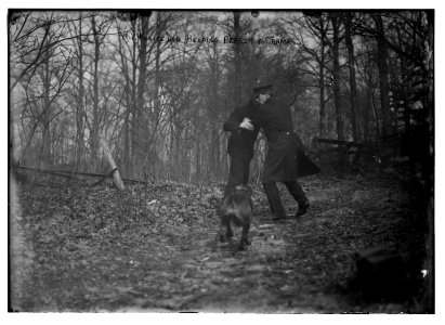 Policeman, police dog, arresting tramp, New York City LCCN2014680052