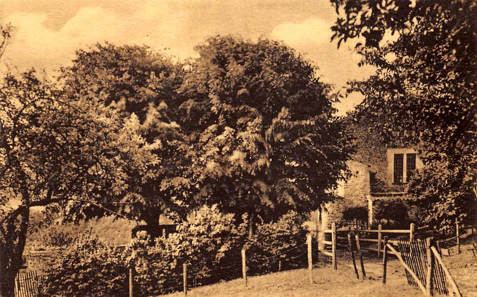 Poleymieux-au-Mont-d'Or - Maison d'Ampère 21