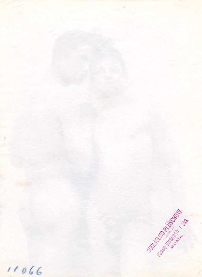 Plüschow, Wilhelm von (1852-1930) - n. 11066 verso - Galerie David Guiraud, Paris