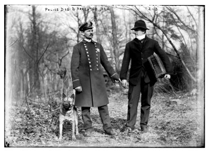 Police dogs, policeman, and thief, New York City LCCN2014680001