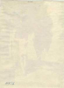 Plüschow, Wilhelm von (1852-1930) - n. 11836 verso - ebay1