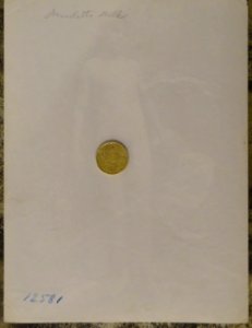 Plüschow, Wilhelm von (1852-1930) - n. 12581 verso - unstamped - ex Texbraun Collection, Galerie David Guiraud, Paris