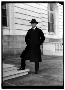 POLLOCK, WILLIAM PEGUES. SENATOR FROM SOUTH CAROLINA, 1918-1919 LCCN2016869582