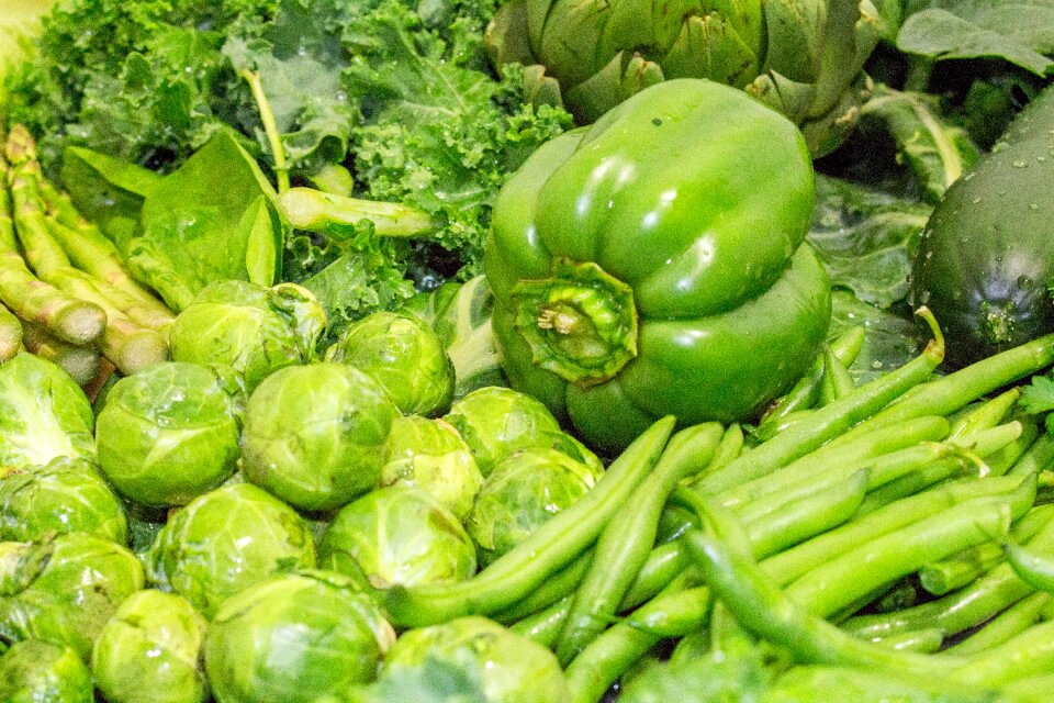 Grow healthy pasture
