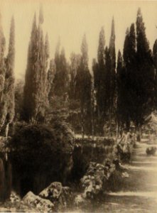 Plüschow, Wilhelm von (1852-1930) - n. 6730 - Frascati, Villa Falconieri - Et in Arcadia ego, p. 20