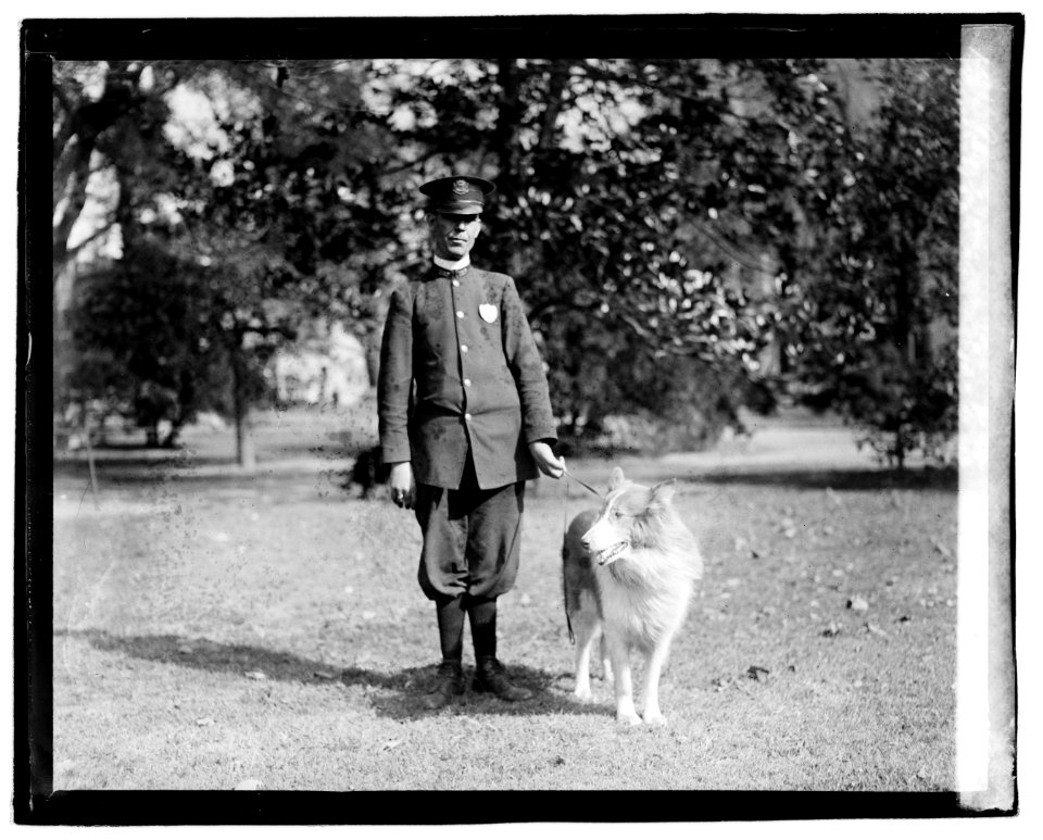 Policeman standing in a park holding a dog by the leash LCCN2016829032