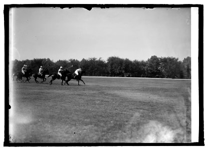 Polo LCCN2016845453