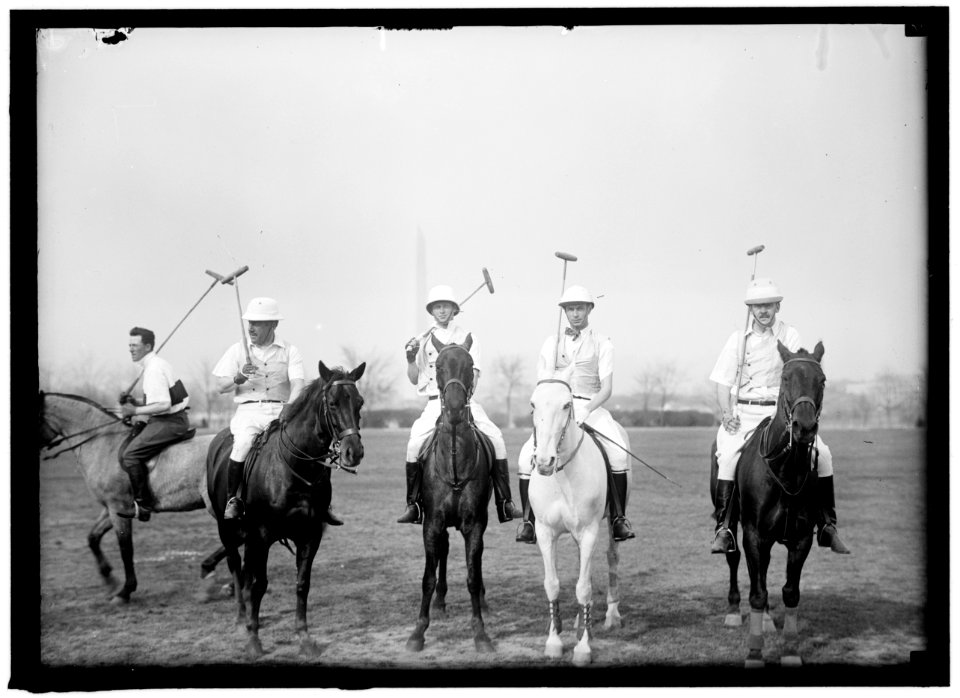 POLO LCCN2016866285