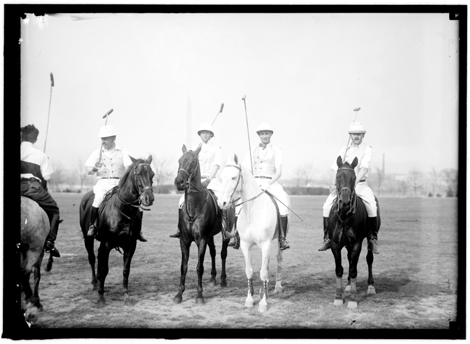 POLO LCCN2016866287