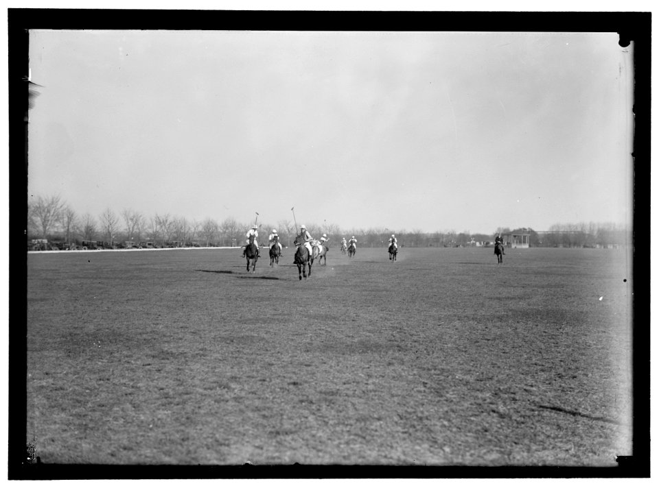 POLO LCCN2016867237
