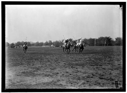 POLO LCCN2016867734