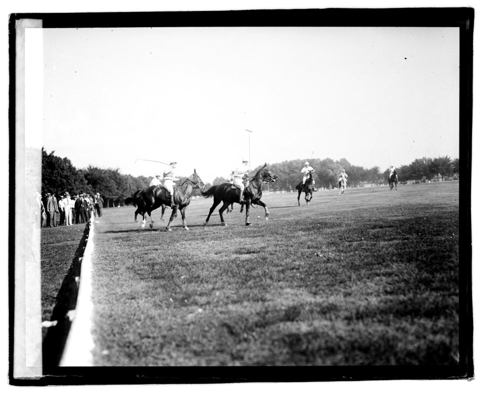 Polo LOC npcc.04428