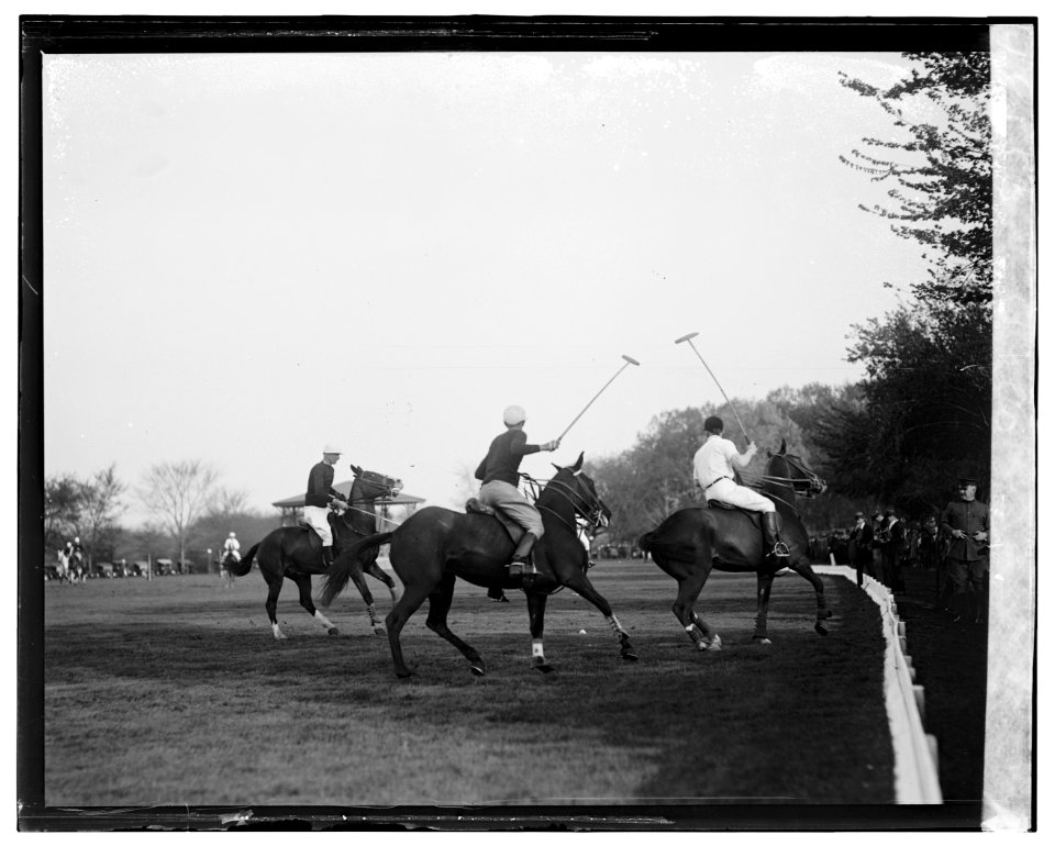 Polo LOC npcc.06105