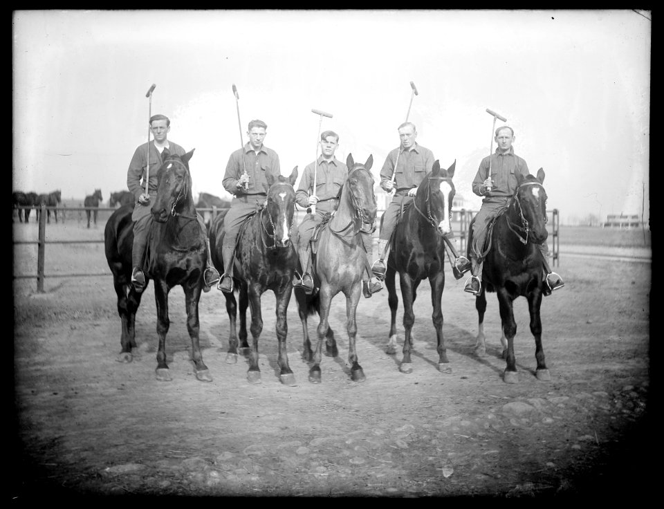 Polo Players LCCN2016824541