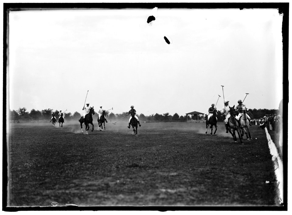 POLO. ARMY POLO LCCN2016864756