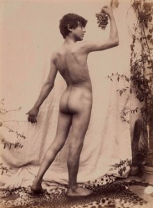 Plüschow, Wilhelm von (1852-1930) - n. 9845