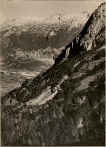 POLONIK gegen CESOCA SLATENIKGRABEN. Standpunkt, Artillerie Beobachter am VRSIC. aufgenommen am 28. Juni 1916. (BildID 15476966)