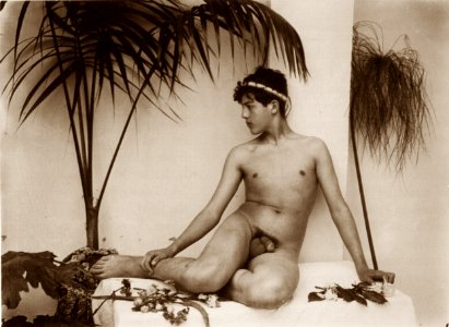 Plüschow, Wilhelm von (1852-1930) - n. Al 0555 - da Christie's