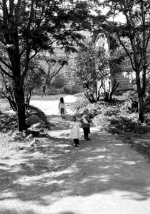 Pohjoisranta 16, piha - N1903 (hkm.HKMS000005-000001a7)