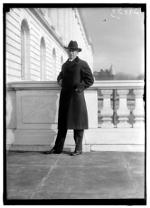 POLLOCK, WILLIAM PEGUES. SENATOR FROM SOUTH CAROLINA, 1918-1919 LCCN2016869583