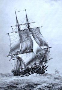 Pomone 1804-F Roux img 3105