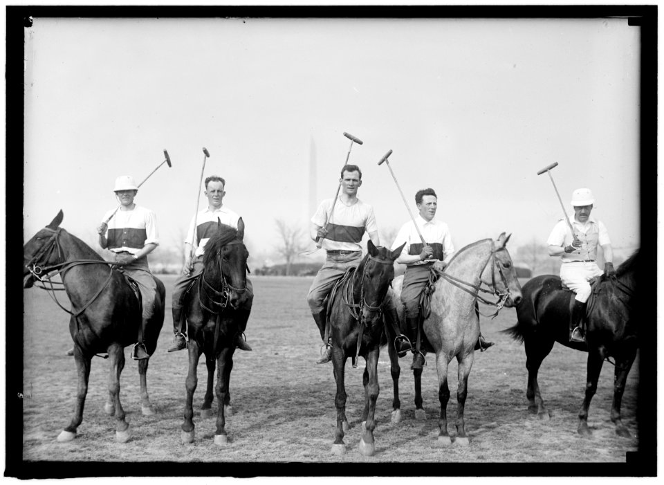 POLO LCCN2016866284