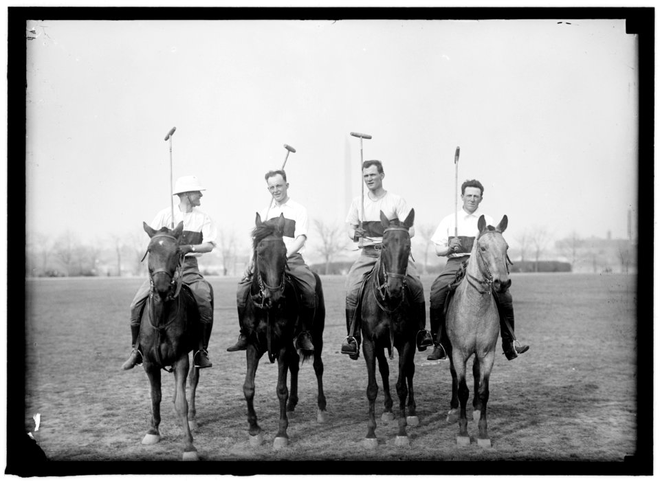 POLO LCCN2016866286