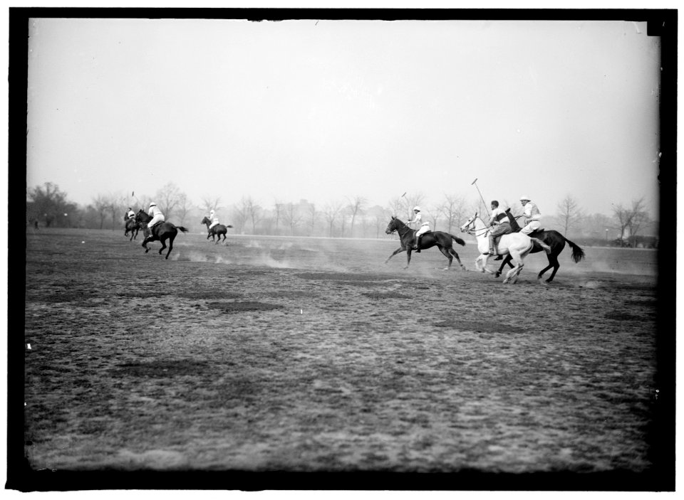 POLO LCCN2016866288