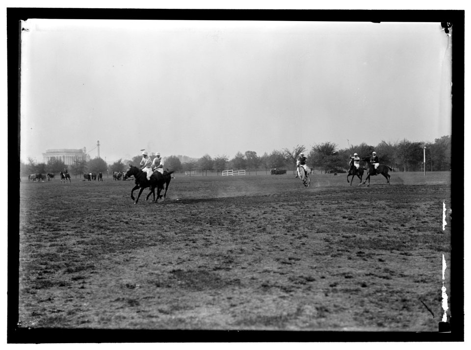 POLO LCCN2016867733
