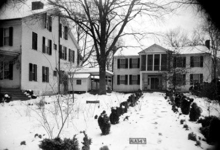 Pond Spring Plantation 01