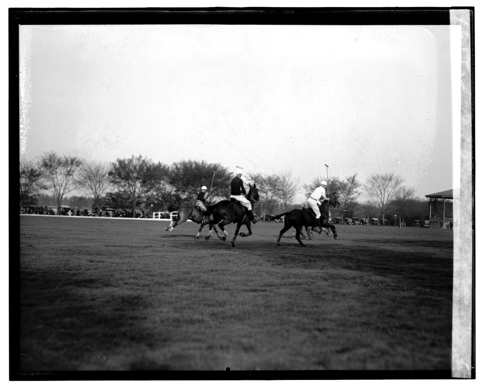 Polo LOC npcc.06104
