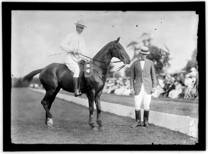POLO. ARMY POLO LCCN2016863947