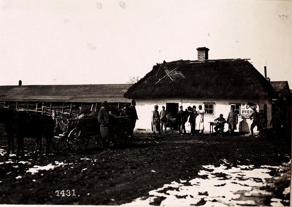 Poniczew, Pferdespital, ärztliche Untersuchungen. (März.1918.) (BildID 15713048)
