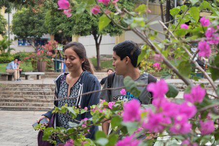 Campus students flowers photo