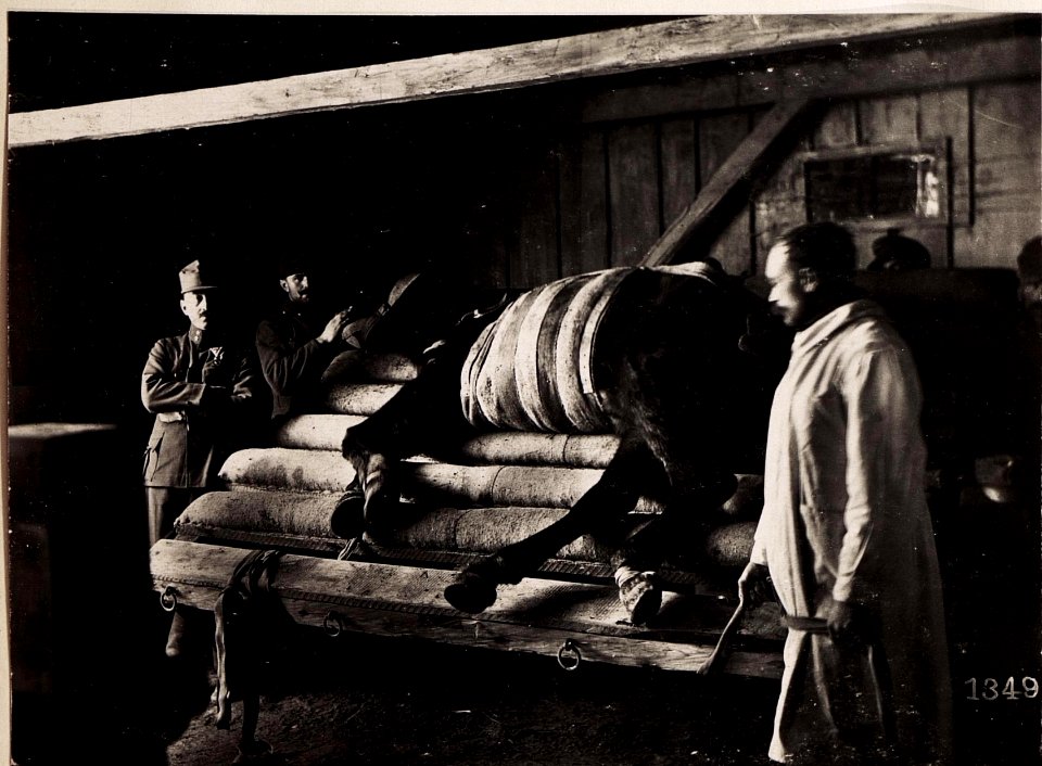 Poniczew, Pferdespital. (28-II.1918.) (BildID 15712513)
