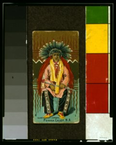 Ponka chief, N.A. LCCN2003663039
