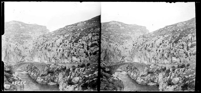 Pont de la Torra sobre el Segre en un congost