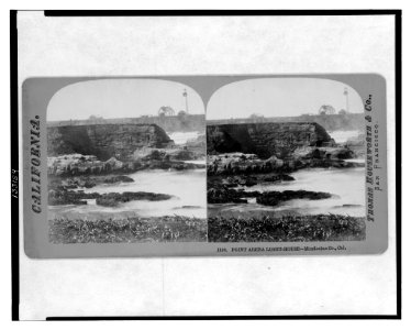 Point Arena Light-house, Mendocino Co., Cal. LCCN2003674058