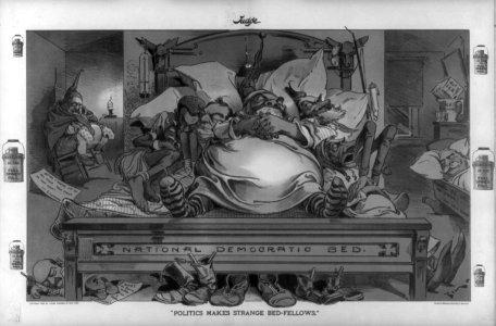 Politics makes strange bed-fellows LCCN2003688941